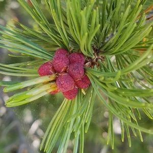 Meet your Posher, Easton